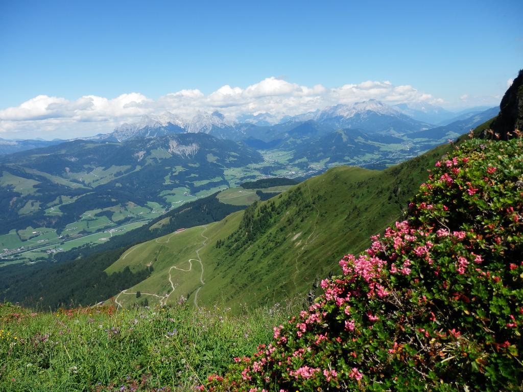 Alpenappartement Europa St. Johann in Tirol Exterior foto